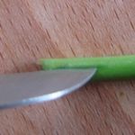 oleander-cutting
