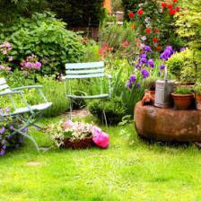 Summer in the garden, all the tasks