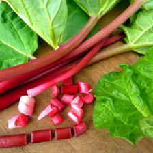 Rhubarb, from planting to harvest