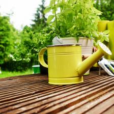The complete guide to spending April in the garden