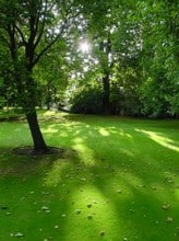 Topdressing, what is it?