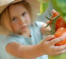 ORGANIC GARDENING, what is it?