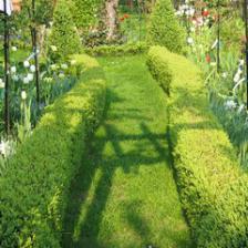 The complete guide to spending March in the garden
