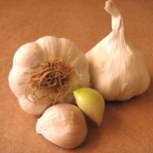 Garlic decoction, technique and timing