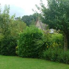 Set up a mixed hedge