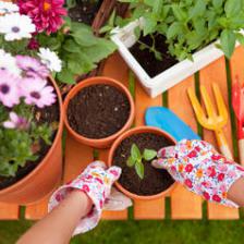 The complete guide to spending June in the garden