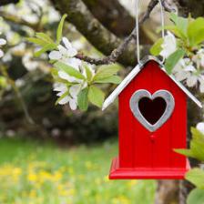 The complete guide to spending February in the garden