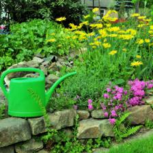 The complete guide to spending May in the garden