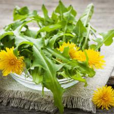 Dandelion, people actually grow it!