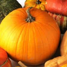 Pumpkin health benefits and therapeutic value