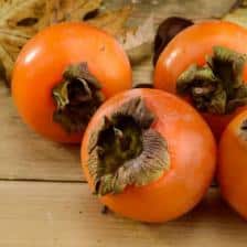 Persimmon, the kaki tree