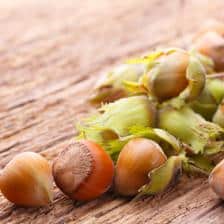 Hazelnut health benefits and therapeutic value
