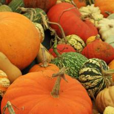 Scores of squash!