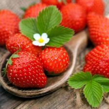 Strawberry health benefits and therapeutic value