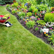 Spring garden tasks