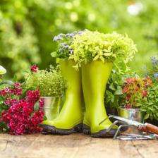 September to December, the gardener’s calendar