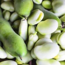 Broad beans, easy and quick to grow