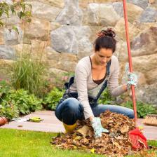 What to do in the garden in fall