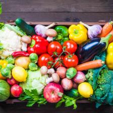 Spring Detox course