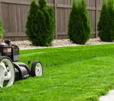 Prepare or renew your lawn in 3 steps