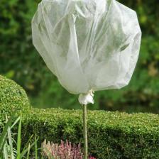 How to winterize your plants