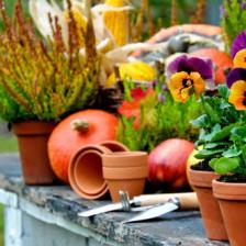 Fall garden tasks checklist