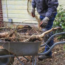 Winter, time to clean and organize your garden