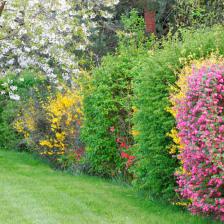 Four-seasons hedge