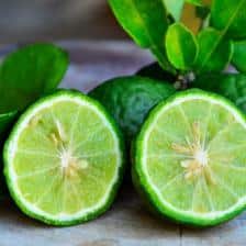 Bergamot tree, where bergamot oranges come from