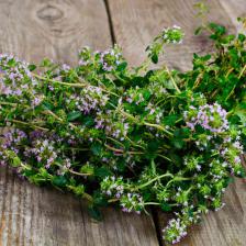 Thyme, a taste of French Provence