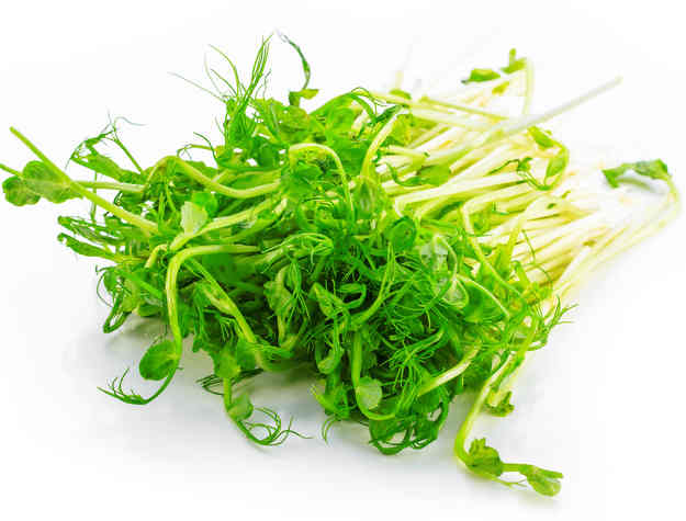 Watercress - health benefits and therapeutic value