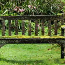 Remove moss from the lawn