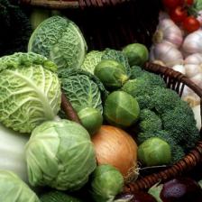 Cabbage, how to grow it and different varieties