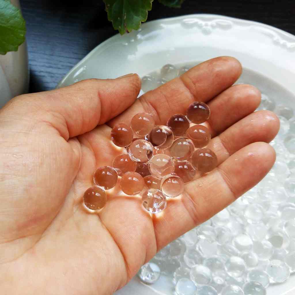 Details about   Fall & Autumn Water Beads Add color & reduce watering for Plants & Flowers 