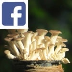 Picture related to Coffee-grown Mushrooms overlaid with the Facebook logo.
