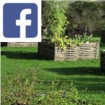 Picture related to Raised gardens overlaid with the Facebook logo.