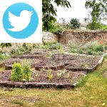 Picture related to Raised gardens overlaid with the Twitter logo.