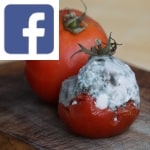 Picture related to Moldy food overlaid with the Facebook logo.