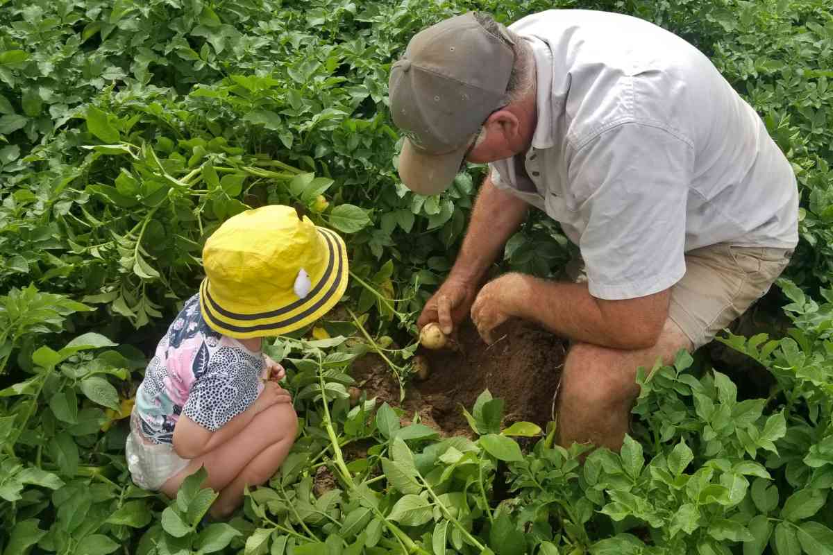 Horticulture avec enfants