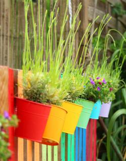 Plants that don't need water