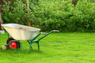 March garden tasks
