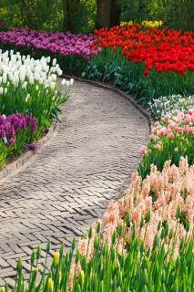 A stone brick pathway with spring bulbs show the garden tasks to be done in March.