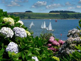 Hydrangea growing along the coast with sailboats in the background.