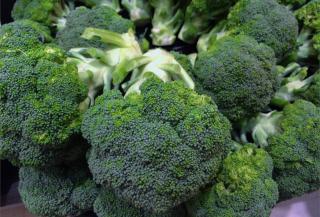 Harvest of fresh broccoli heads piled up on each other.