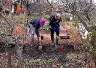 Readying soil for planting