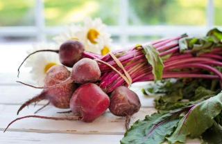 bunch of beet on table wrapped with elastic band