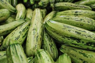 History of zucchini