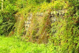 Rock wall associated to a hedge