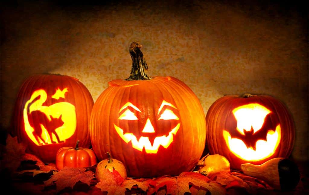 Pumpkins carved into halloween jack-o-lanterns.