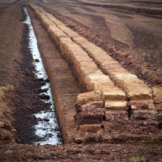 Peat is extracted from open-air quarries